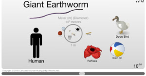 Scale of the Universe